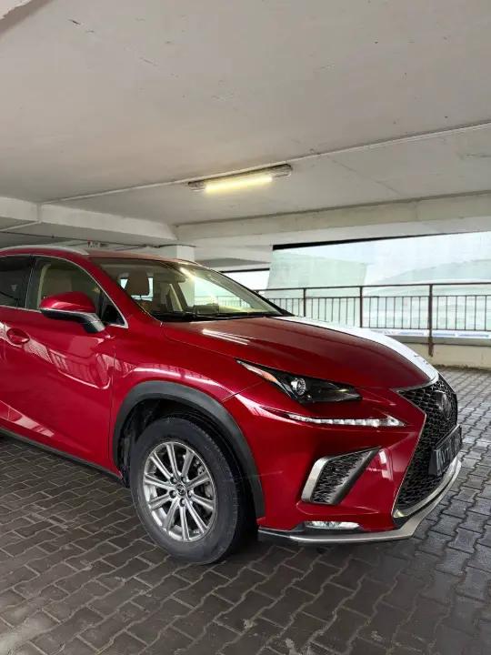 LEXUS NX300