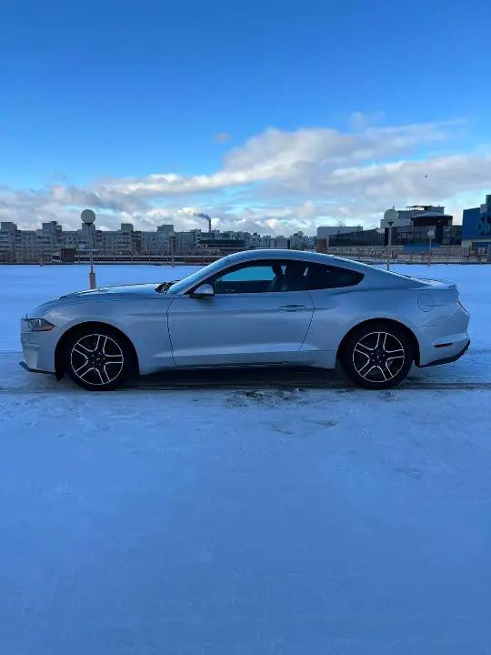 FORD MUSTANG