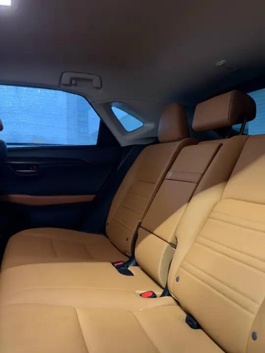 LEXUS NX300