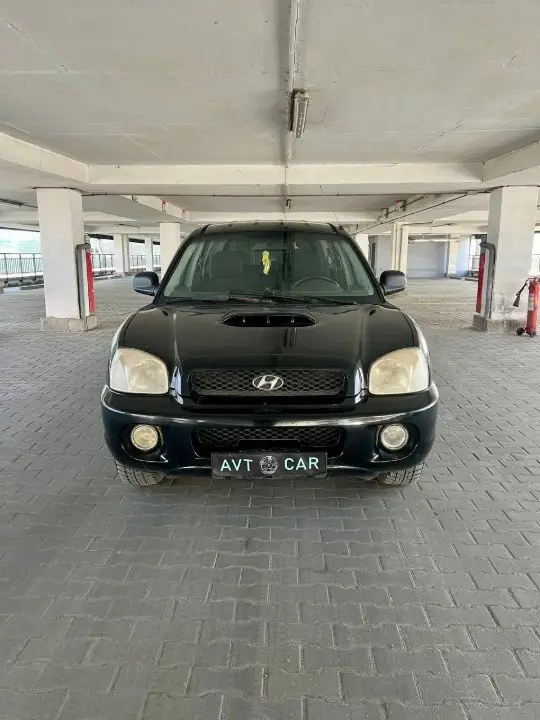 Hyundai Santa Fe, фотография 1