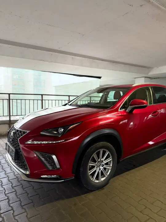Lexus NX, фотография 2