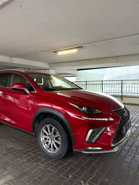 Lexus NX, фотография 9