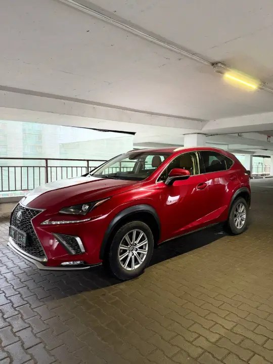 Lexus NX, фотография 3
