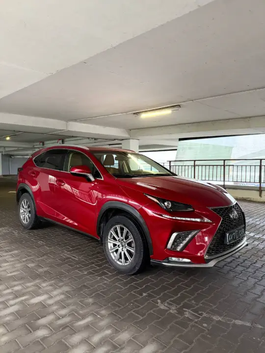 Lexus NX, фотография 10