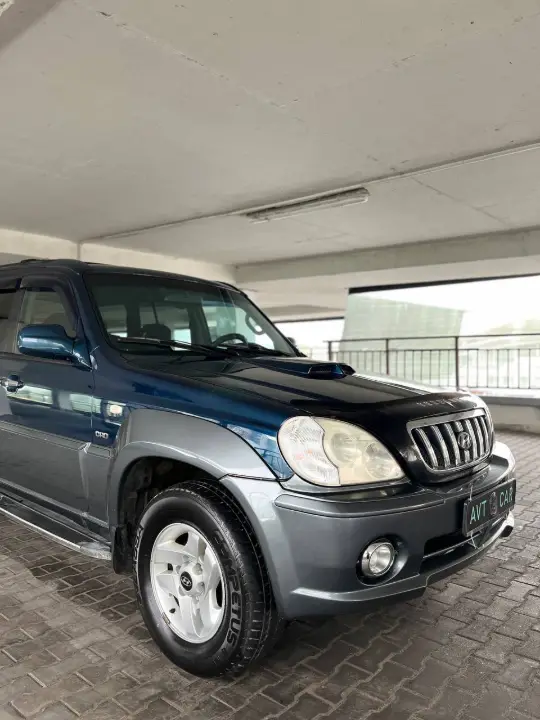 Hyundai Terracan, фотография 10