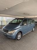Mercedes Viano, миниатюра 4