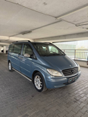 Mercedes Viano, миниатюра 2
